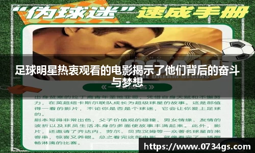 中欧体育